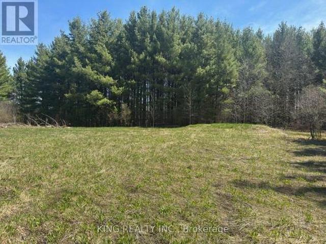 6081 Hwy 89, Clifford Road, Minto, ON, N0G 1M0 vacant land for sale | Listing ID X13654 | Royal LePage
