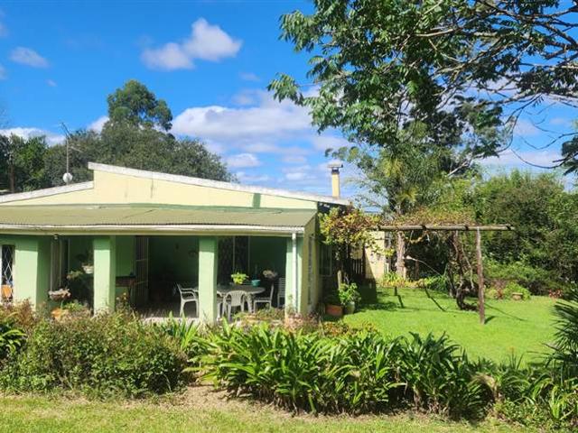 60 ha Farm in Greytown