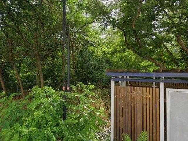 60 m2 apartment for rent in Halle Saale