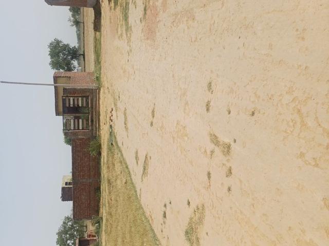 60 Sq.Yd. Plot in Faridpur Faridabad Listing ID: #10392