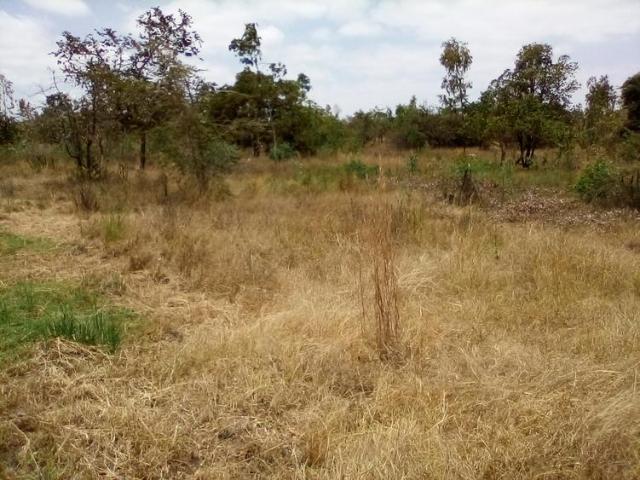 610 Acres of Land For Sale in Makuyu