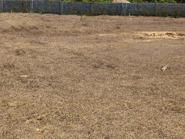 610 Sq.Ft. Plot in Kothavalasa Vizag Listing ID: #9352