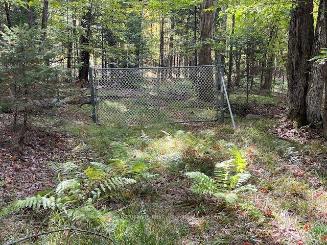 61 Bobcaygeon Road