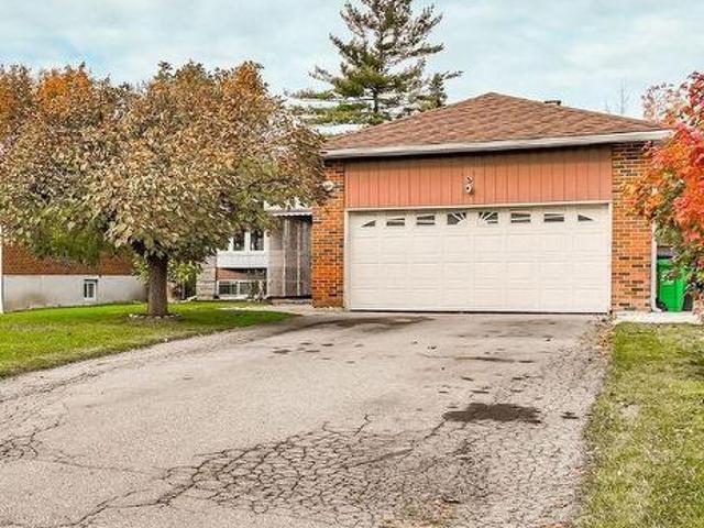 61 Deerfield Crescent, Brampton, ON, L6T 1K8 house for lease | Listing ID W13471 | Royal LePage