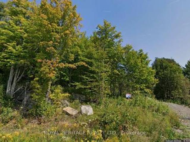 61 Marluc Avenue, Minden Hills, ON, K0M 2K0 vacant land for sale | Listing ID X11994 | Royal LePage