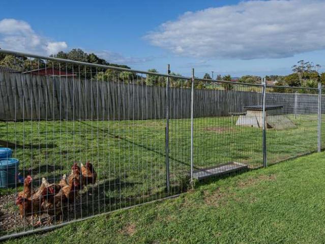 629E Owhiwa Road, Parua Bay, Whangārei