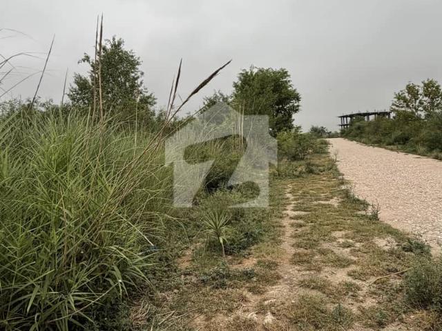 62 Kanal Land For Sale In Kalar Kahar