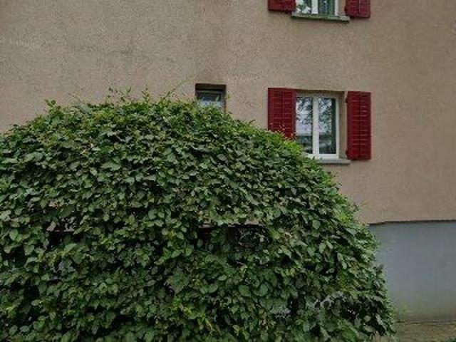 62 m2 apartment for rent in Dietikon