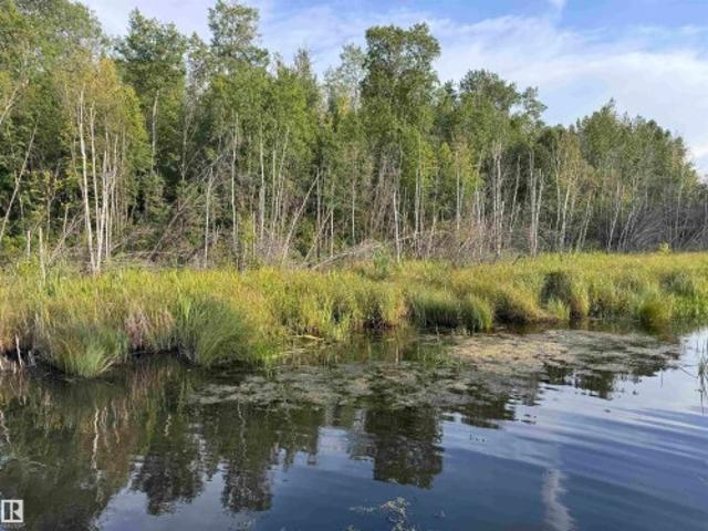 63304 Rge Rd 261A, Rural Westlock County, AB, T0G 0S0 vacant land for sale | Listing ID E4489 | Royal LePage
