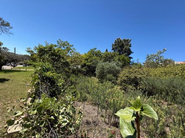 633 m² Land available in Grahamstown Makhanda Central