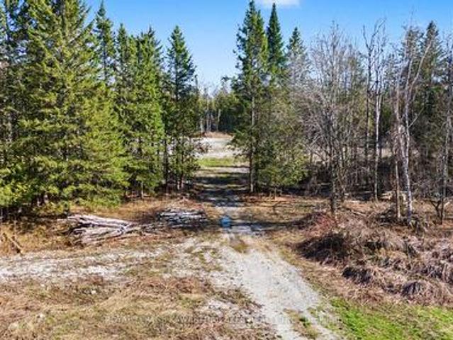 6369 Highway 35, Kawartha Lakes Somerville, ON, K0M 1K0 vacant land for sale | Listing ID X13052 | Royal LePage