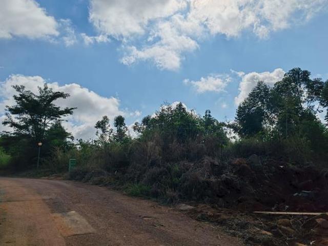 637 m² Land available in Arbor Park