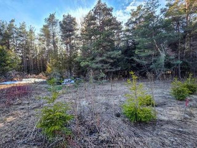 6382 Fifth Line, Centre Wellington, ON, N1M 2W5 vacant land for sale | Listing ID X12938 | Royal LePage