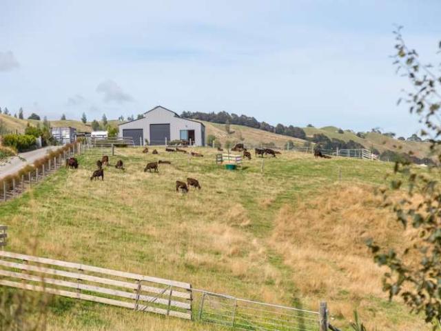 67A Lees Pakaraka Road, Masterton