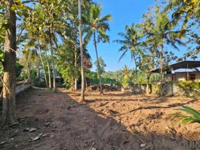 6400 Sq. ft Plot for Sale in Karyavattom, Trivandrum