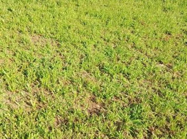 642 m² Land available in Hartebeesfontien AH