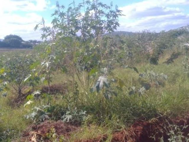 643 m² Land available in Aquapark