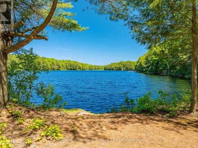 643B Highway 632, Seguin, ON, P2A 2W8 vacant land for sale | Listing ID X13641 | Royal LePage
