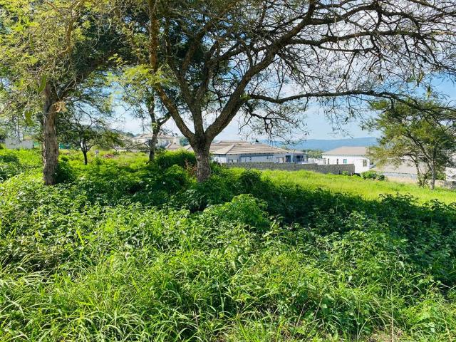 647 m² Land available in Drum Rock