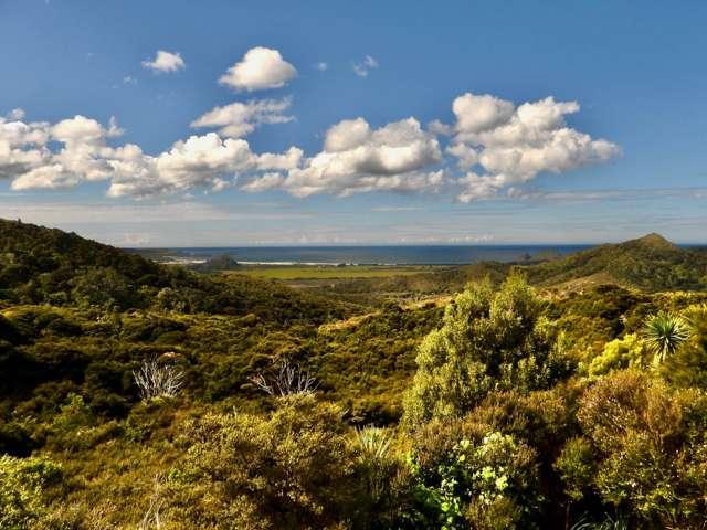 649 Medland Road, Great Barrier Island, Hauraki Gulf Islands