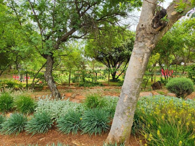 5 Bedroom House For Sale in Estate D' Afrique