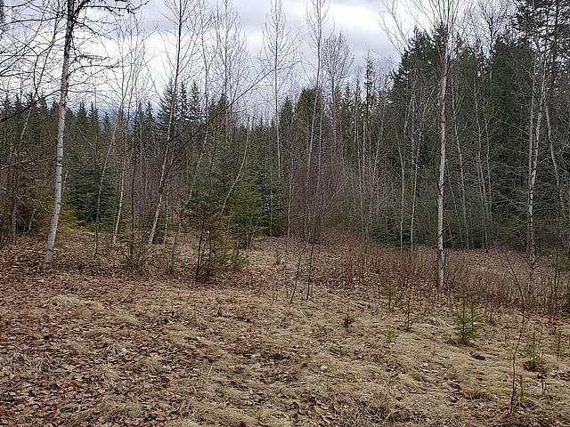 657 Hoirup Road Clearwater, British Columbia