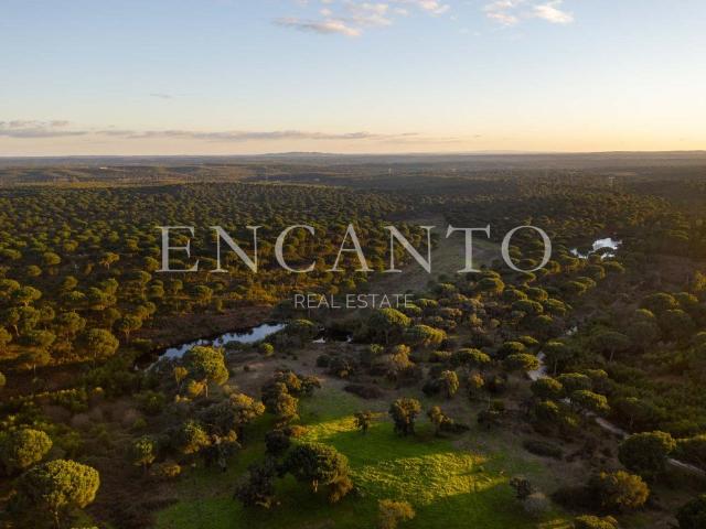 659 hectares com montado, pinhal e várzeas em Vendas Novas 450m² Vendas Novas