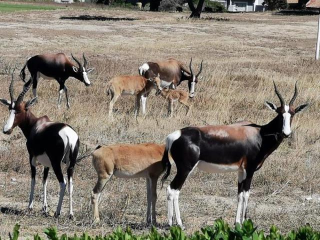 659 m² Land available in Langebaan Country Estate