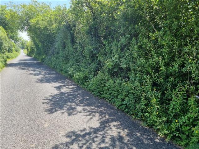 65,000 | Sallybank Kilmore, Sixmilebridge, Clare de Courcy Estate Agents 4805 MyHome. Ie Residential