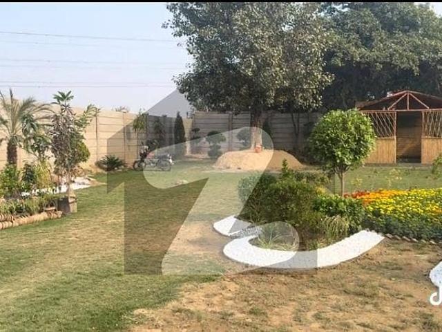 65 Marla Plot For Sale