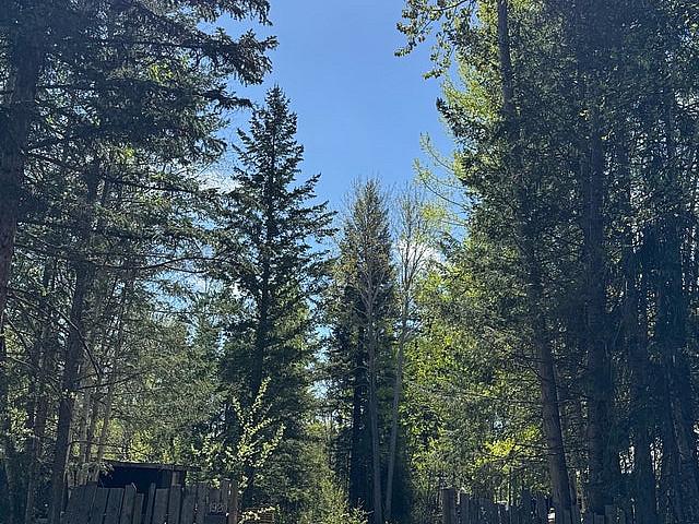 65 Of An Acre Redbluff Quesnel