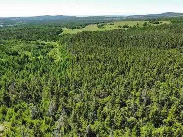 664 Indian Meal Line, Torbay, NL, A1M 3E7 vacant land for sa.
