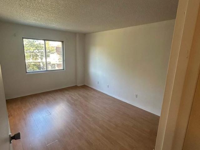 6655 Mackle 1 Bedroom Apartment for Rent at 6655 Ch Mackle, Côte Saint Luc, QC H4W 2Y3
