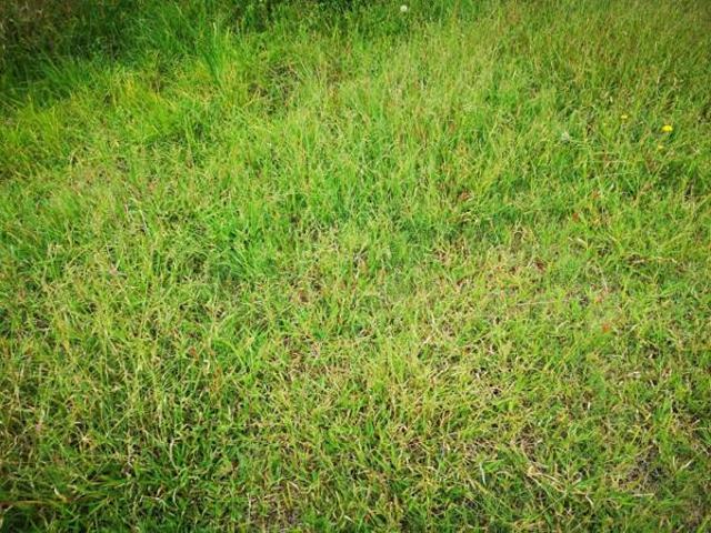 666 m² Land available in Middelburg Central