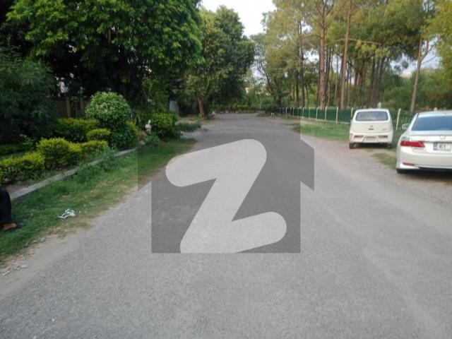666 Sq Yard Corner Top Location House F 8