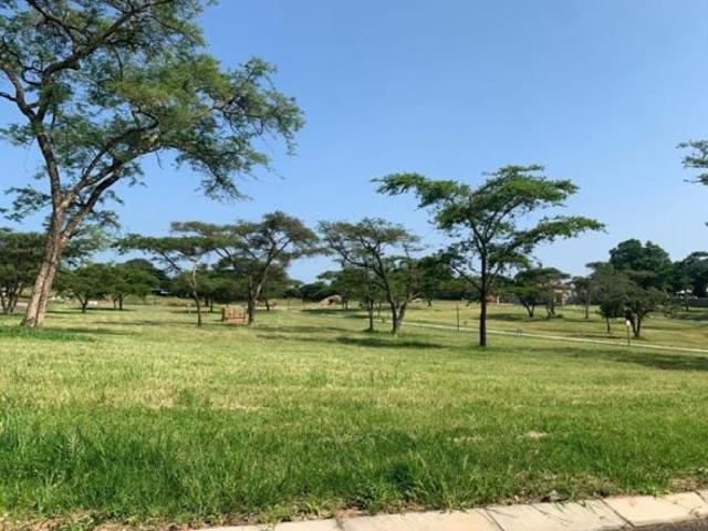 667 m² Land available in Tzaneen