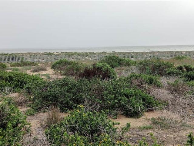 667 m² Land available in Velddrif