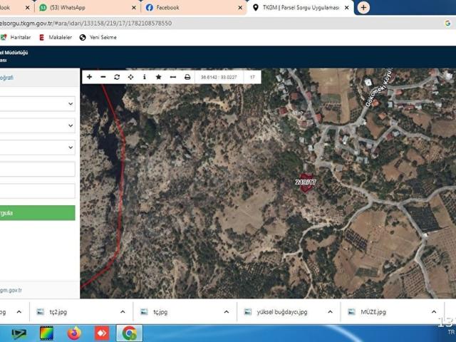 668 m2 zeytin bahçesi