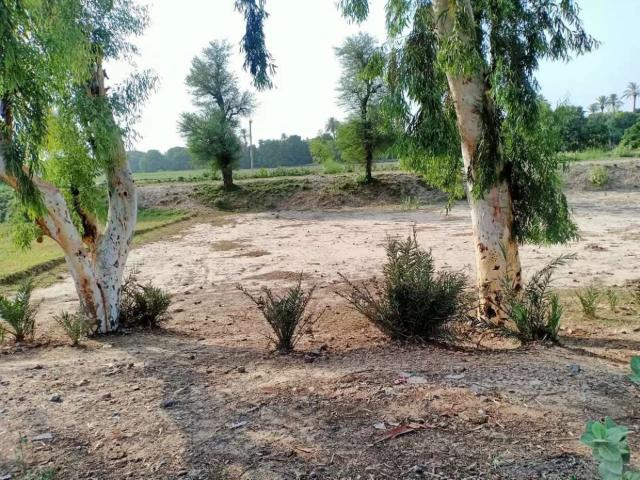 66 Marla Plot For Sale on Bahawalpur/Ahmedpur Highway, Bahawalpur DHA Bahawalpur ID 05345
