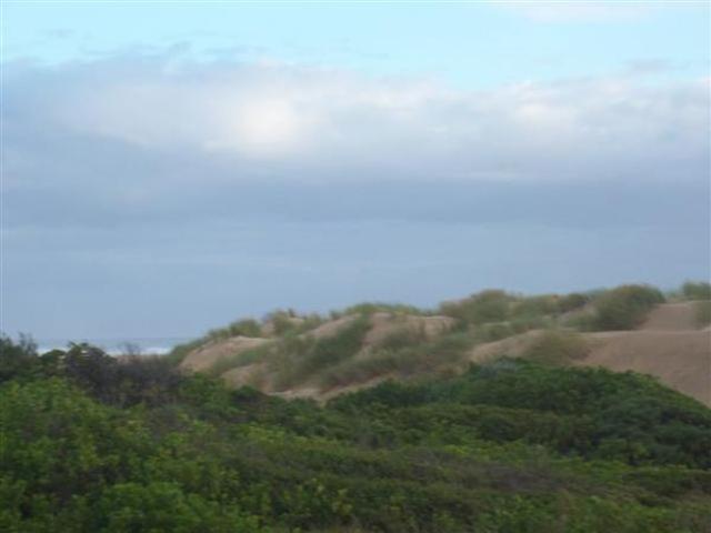 674 m² Land available in Oyster Bay