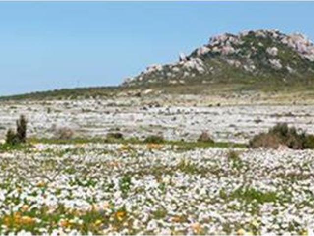 678 m² Land available in Hopefield