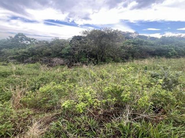 678 m² Land available in Salt Rock