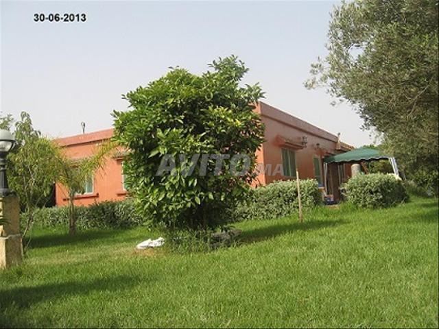 6800m, terrain, maison et plan villa