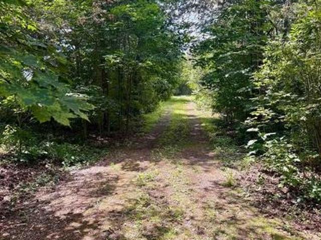 680 County Road 49, Prince Edward County Picton, ON, K0K 2T0 vacant land for sale | Listing ID X13590 | Royal LePage