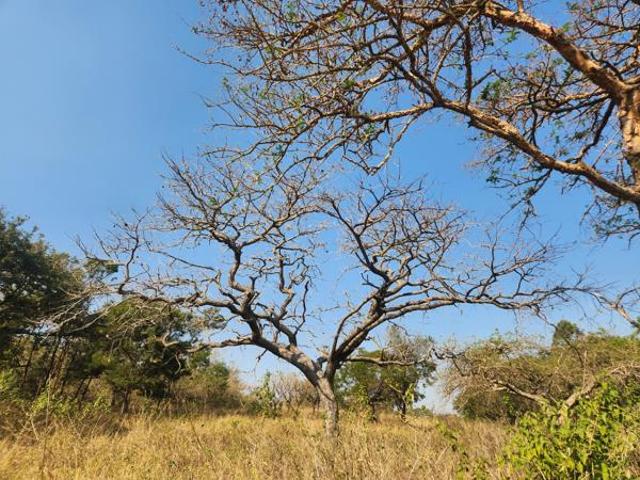 686 m² Land available in White River Estates