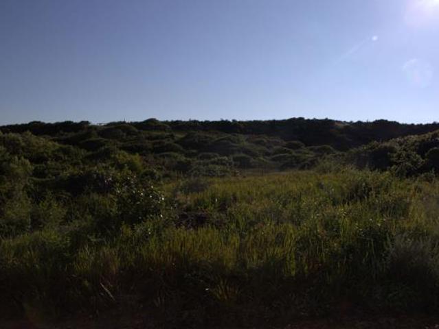 687 m² Land available in Oyster Bay