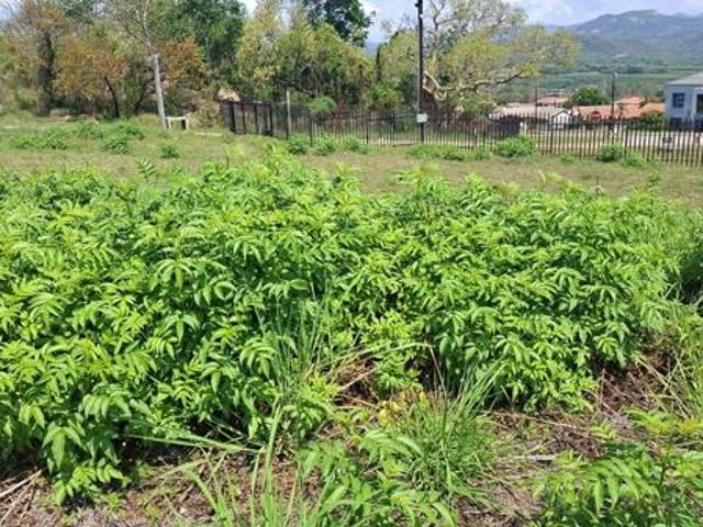 692 m² Land available in Karino