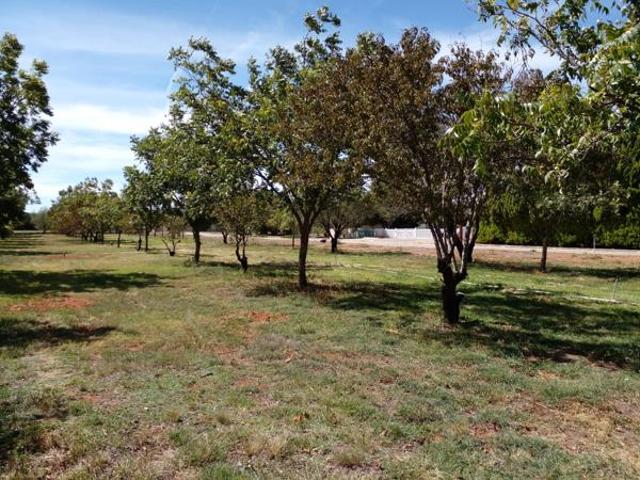 692 m² Land available in Orania