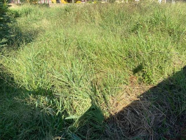 693 m² Land available in Chroom Park