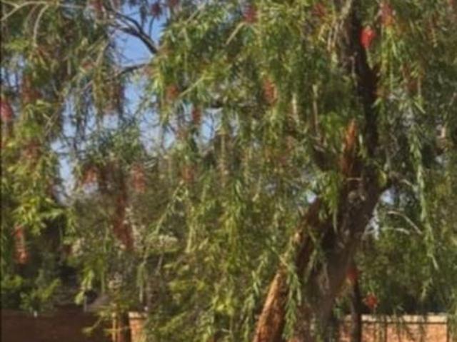693 m² Land available in Mookgophong